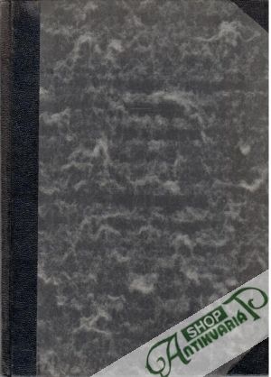 Fez, klenot islamu - Kořínek Jan