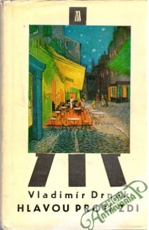 Hlavou proti zdi - Drnák Vladimír