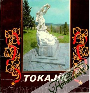 Obal knihy Tokajík