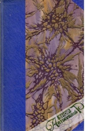 Po cestách Božích - Čapek Stanislav