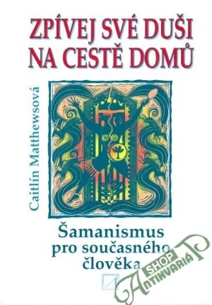 Zpívej své duši na cestě domů - Matthewsová Caitlín