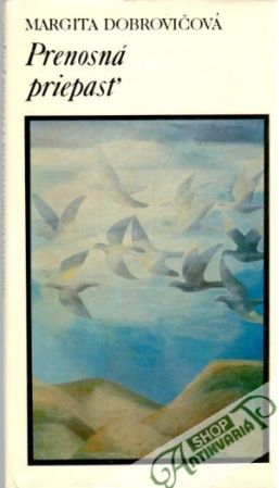 Prenosná priepasť - Dobrovičová Margita