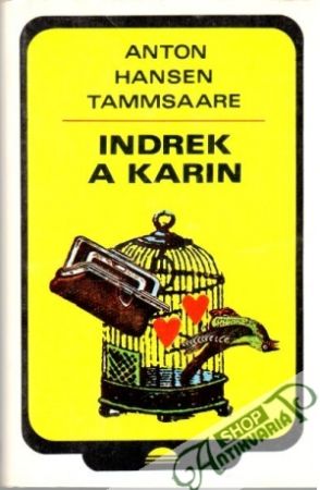 Obal knihy Indrek a Karin