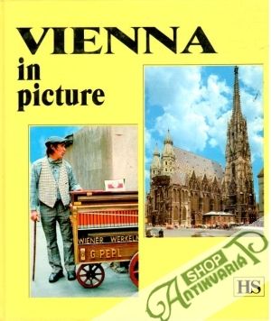 Obal knihy Vienna in picture