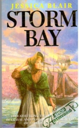 Obal knihy Storm bay