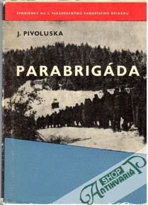 Obal knihy Parabrigáda