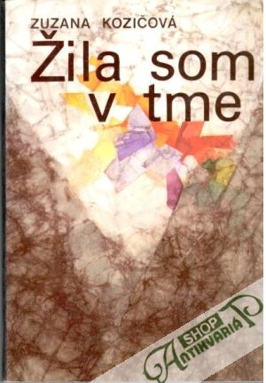 Obal knihy Žila som v tme