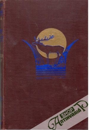 Ako som zabila svoje dieťa - L´Ermite Pierre