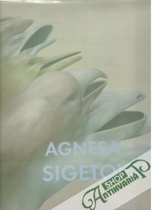 Obal knihy Agnesa Sigetová