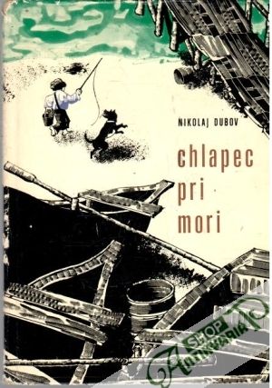 Obal knihy Chlapec pri mori