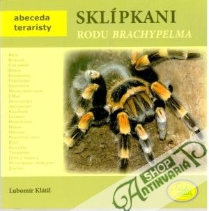 Sklípkani rodu brachypelma - Klátil Lubomír