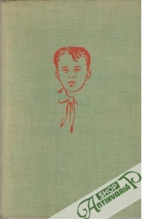 Obal knihy Ulica mladšieho syna