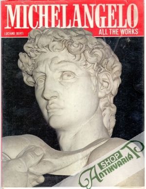 Obal knihy Michelangelo