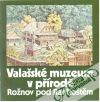 Kolektív autorov - Valašské muzeum v přírodě - Rožnov pod Radhoštěm