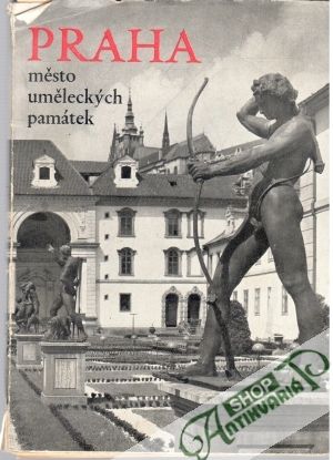 Obal knihy Praha - město uměleckých památek