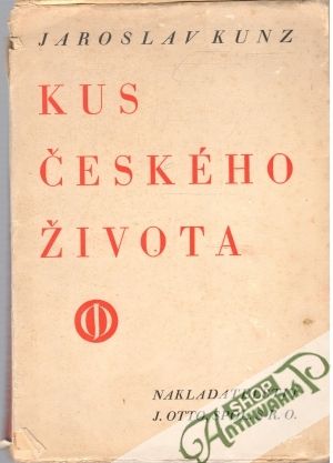 Obal knihy Kus českého života