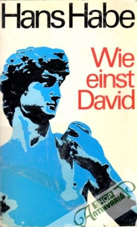 Obal knihy Wie einst David