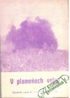 Kolektív autorov - V plameňoch vojny 11/95