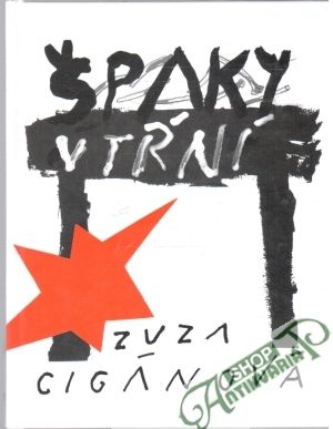 Špaky v tŕní - Cigánová Zuzana