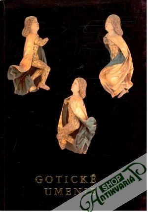 Gotické umenie - Olexa L. a kolektív