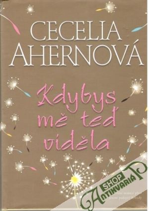 Kdybys mě teď viděla - Ahernová Cecelia