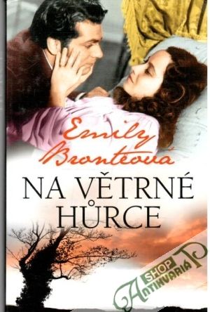Na větrné hurce - Bronteová Emily