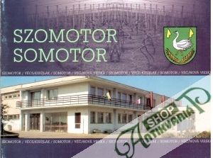 Obal knihy Szomotor Somotor