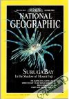 Kolektív autorov - National Geographic 10/1990