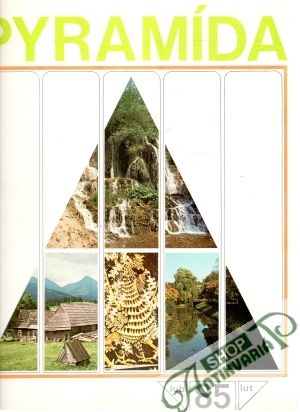 Obal knihy Pyramída 85