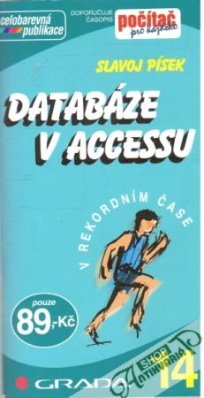 Obal knihy Databáze v accessu
