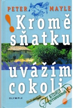 Kromě sňatku uvážím cokoli - Mayle Peter