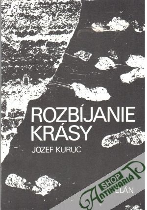 Obal knihy Rozbíjanie krásy