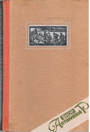62. armáda v bojích o Stalingrad - Stupov A.D., Kokunov V.L.
