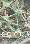 Kolektív autorov - Socha - Tradícia a súčasnosť
