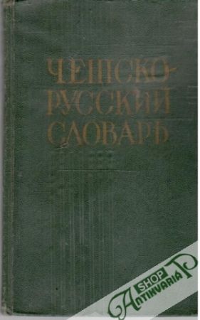 Obal knihy Česko - Russkij slovar