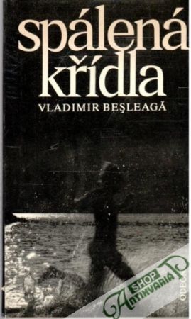 Spálená křídla - Besleaga Vladimir