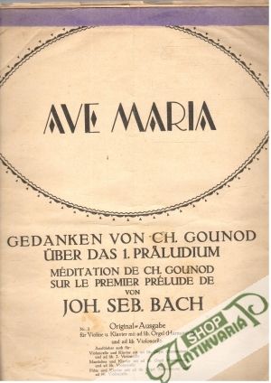 Obal knihy Ave Maria 