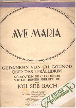 Obal knihy Ave Maria