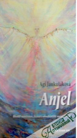 Obal knihy Anjel