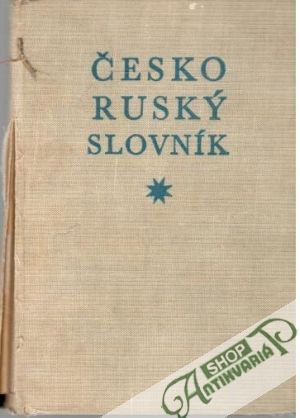 Obal knihy Česko - ruský slovník