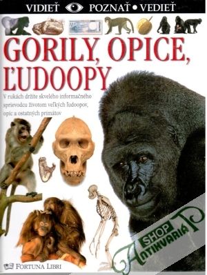 Gorily, opice, ľudoopy (Vidieť, poznať, vedieť) - Redmond Ian