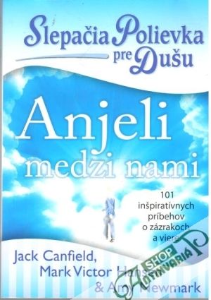 Obal knihy Anjeli medzi nami - slepačia polievka pre dušu