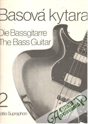 Basová kytara 2 - Hora Vladimír