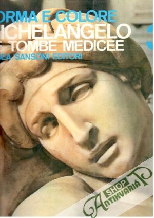 Forma e colore - Michelangelo: Le tombe medicee 3 - Gentile Giovanni
