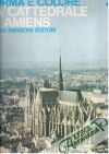 Gentile Giovanni - Forma e colore - La Cattedrale di Amiens 25