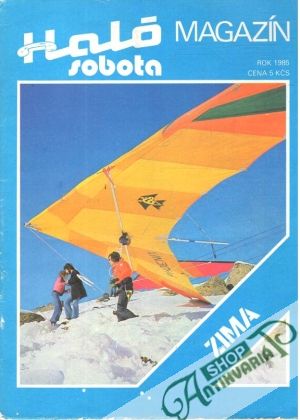 Obal knihy Haló sobota zima / 1985