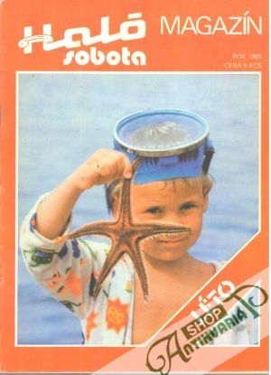 Obal knihy Haló sobota léto / 1985