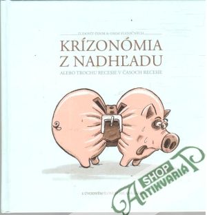 Obal knihy Krízonómia z nadhľadu