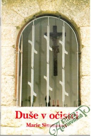 Obal knihy Duše v očistci
