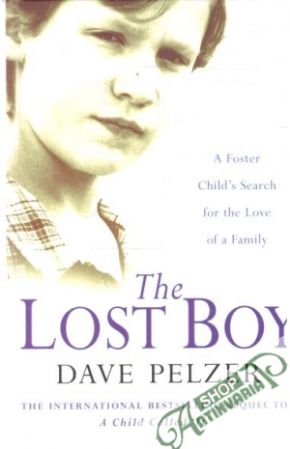 Obal knihy The lost boy